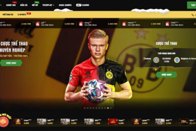 11Bet – Giới thiệu chi tiết về nhà cái cá cược 11Bet